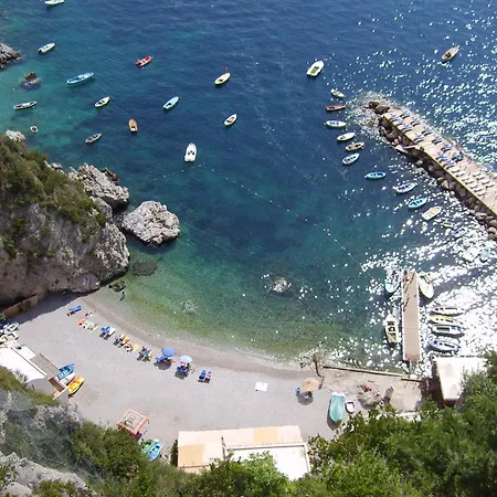 Azzurra *